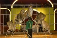 Althoff-Loewen Althoff-Loewen