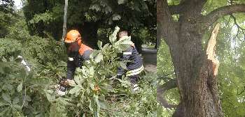 AststurzLVA AststurzLVA