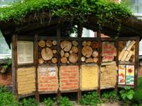 BienenH-Museum BienenH-Museum