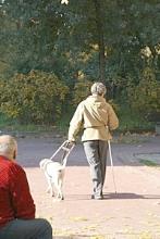 BlindmitHund BlindmitHund