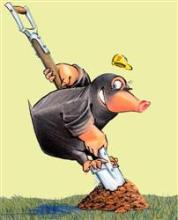 DBMaulwSpat DBMaulwSpat