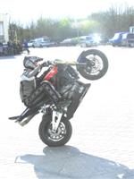 DEKRA-Buddy-08 DEKRA-Buddy