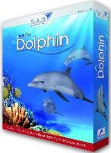DigifishDolphin3 DigifishDolphin3