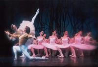 DornroesBallett. DornroesBallett.