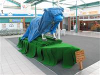 EKZ-KiTa-Kuh-1 EKZ-KiTa-Kuh-1