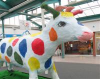 EKZ-Lehmkuh EKZ-Lehmkuh