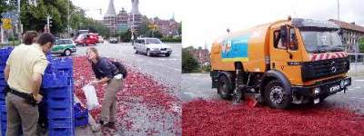 Erdbeerunfall Erdbeerunfall