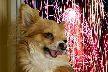 FeuerwerkTitus FeuerwerkTitus