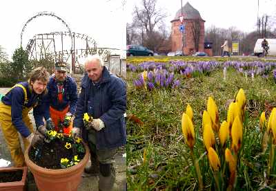 Fruehling0305 Fruehling0305