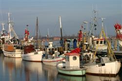 Heilighf-Kutter Heilighf-Kutter