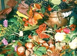 Herbstcocktail-2 Herbstcocktail-2