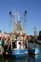 Husumer-KrabbenT Husumer-KrabbenT