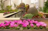 LGS-So-Blumenschau LGS-So-Blumen