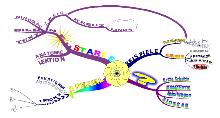 Mind-Mapping Mind-Mapping