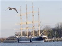 Passat-Moewe Passat-Moewe