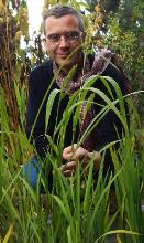 ReisfeldLuettke ReisfeldLuettke