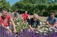 Rosen-Hochbeet Rosen-Hochbeet