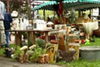 S-WeinStr-9.GartenM S-WeinStr-9.GartenM