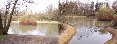 Stadtparkteich Stadtparkteich