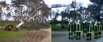 SturmOH080105 SturmOH080105