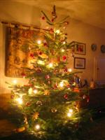 TannenB-geschm TannenB-geschm