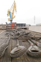 WiedemannFlender WiedemannFlender