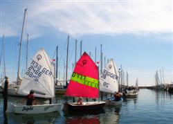 Yacht-Youngsters Yacht-Youngsters