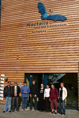 noctalis0606 noctalis0606