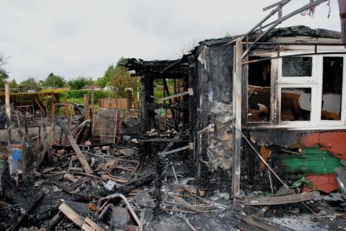 Feuer Buntekuh 2 017