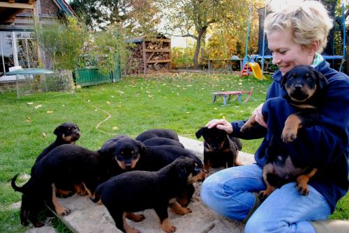 tbf031111_16 Welpen_Kroeger_0002