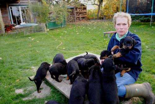 tbf031111_16 Welpen_Kroeger_0003