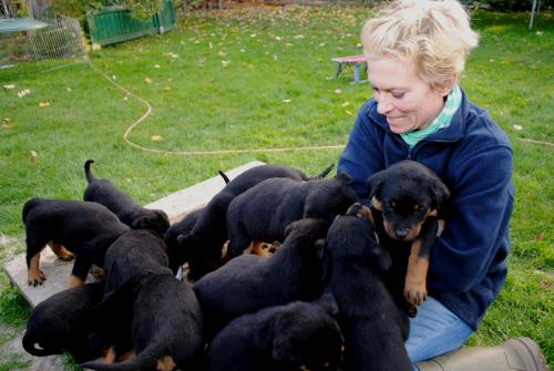 tbf031111_16 Welpen_Kroeger_0005