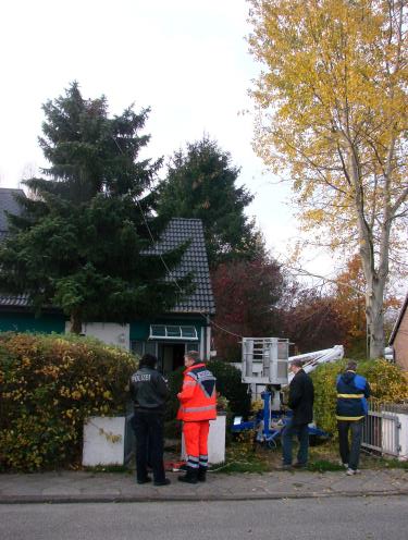 tbf051111_toedlicher Baumunfall_Kroeger_0004