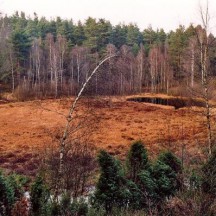 Moorlandschaft_Bullenkuhle_Christian Fischer