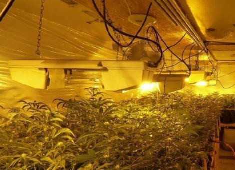 lka-sh-gemeinsame-pressemitteilung-der-staatsanwaltschaft-kiel-des-zollfahndungsamtes-hamburg-und-des-landeskriminalamtes-schleswig-holstein1