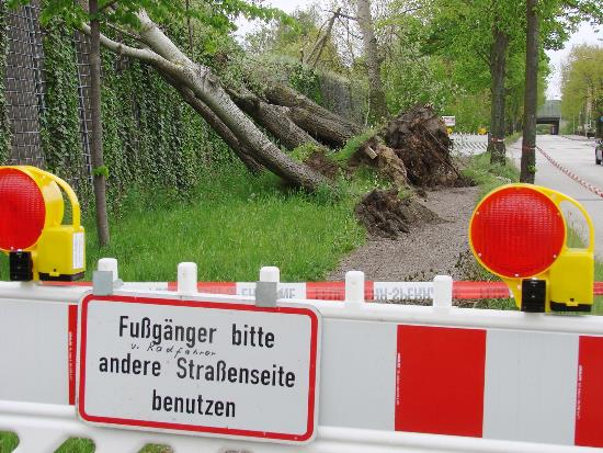 tbf110515_Sturmschaeden_Kroeger_001