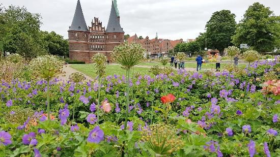 tbf290617_Luebeck_Blumen Holstentor_Kroeger_003