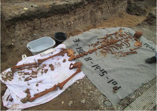 Skelettfund 3_01